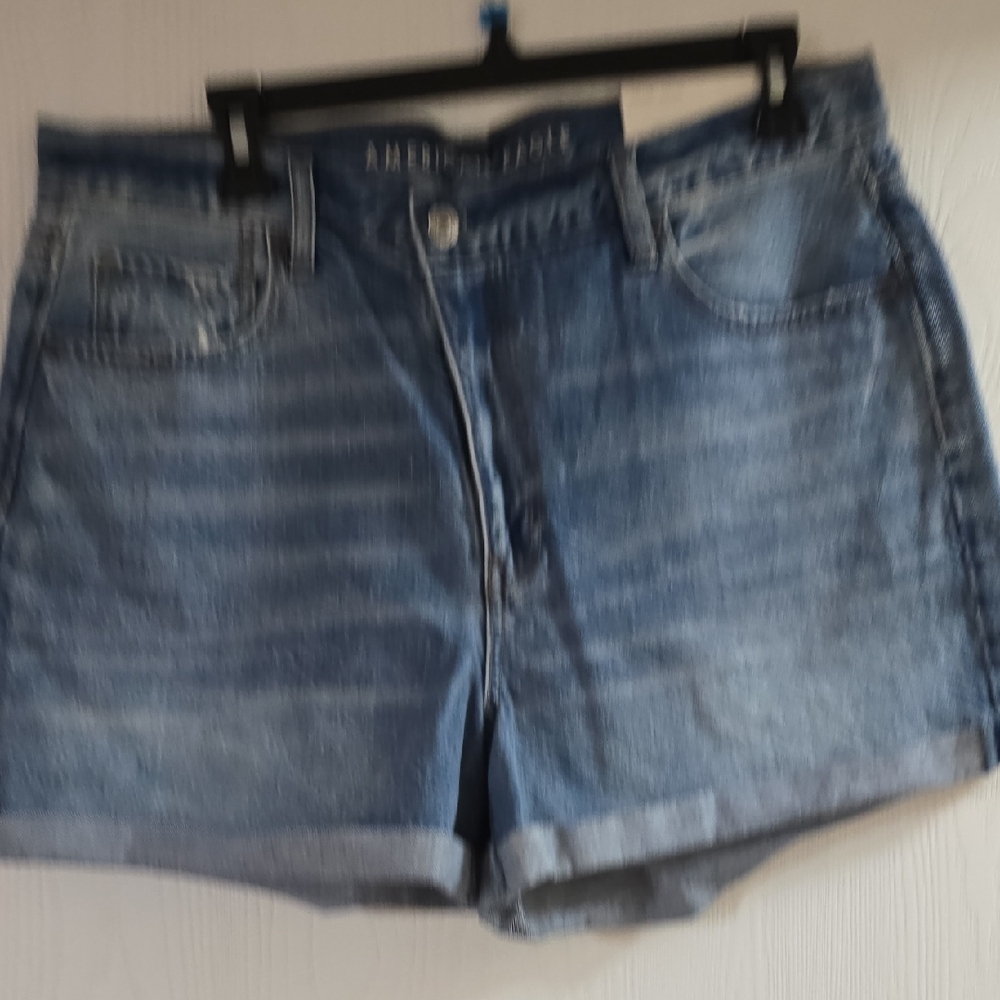 American Eagle Outfitters Light Blue Jean Shorts